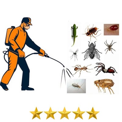 Pest Control India